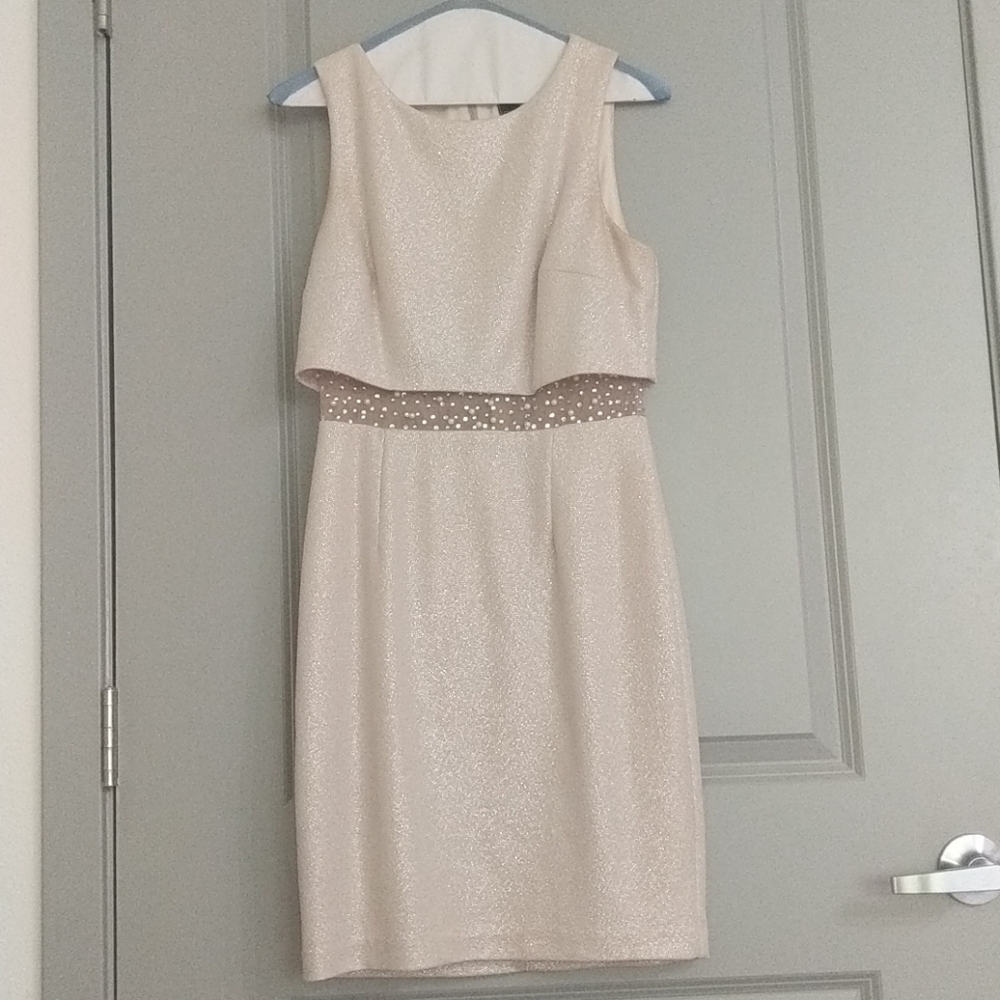 Betsy & Adam Dress Size 4